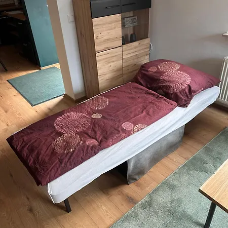 Haus Am Widder In Baiersbronn-obertal * באיירסברון